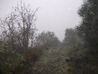 sternazza-20101010 102